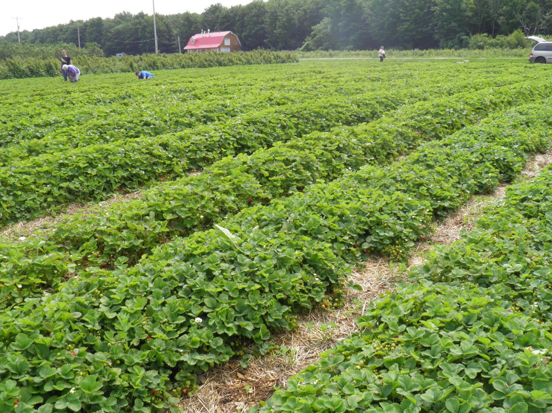 La Ferme aux Mille Cailloux-Franklin必去景点
