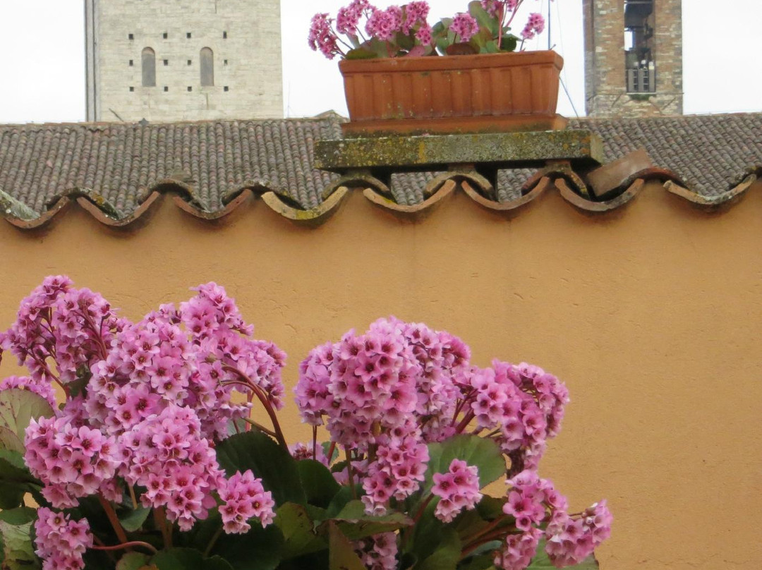 弗朗特切细亚酒店主图