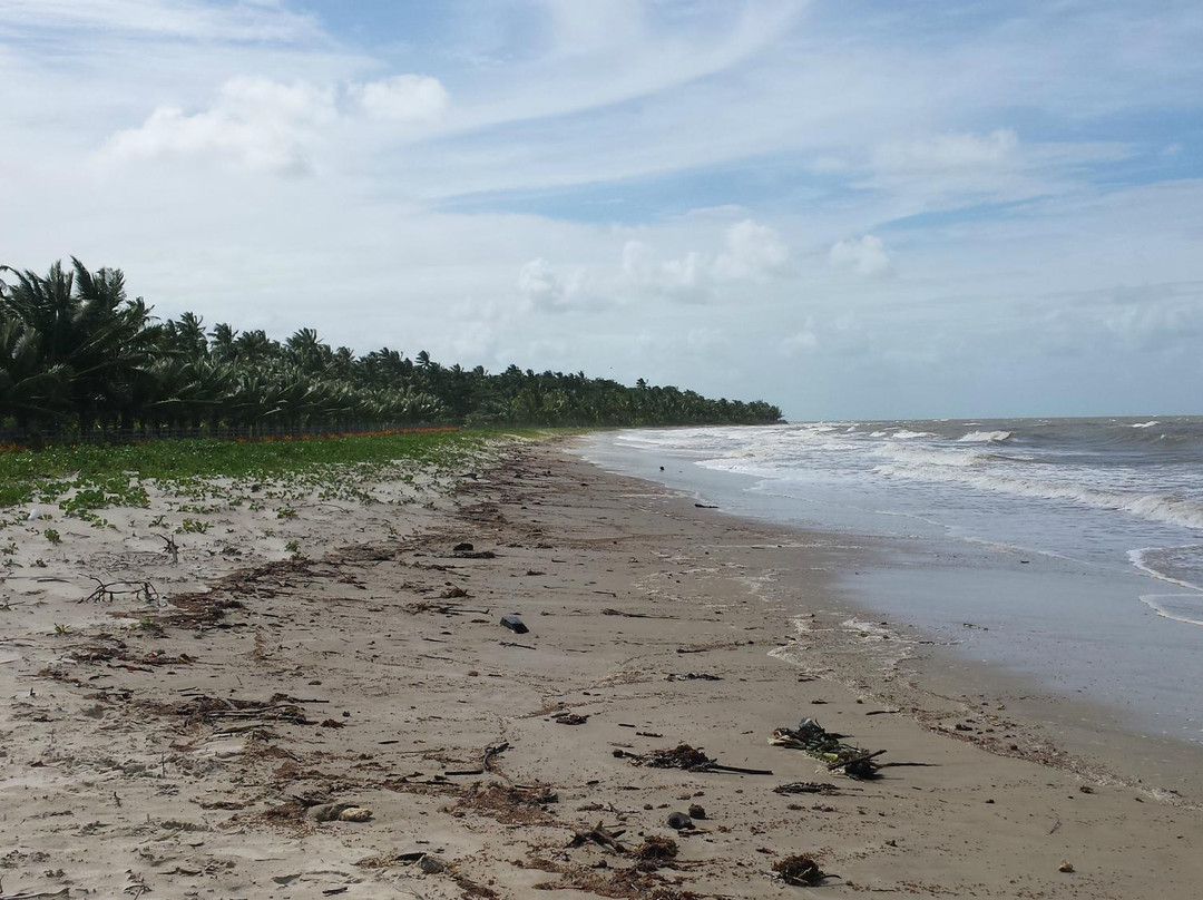 Belmonte Beach景点图片