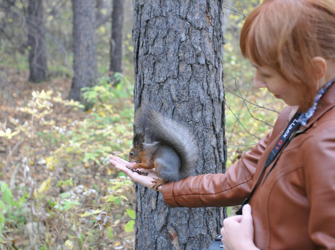 Kaiskaya Forest-伊尔库茨克必去景点