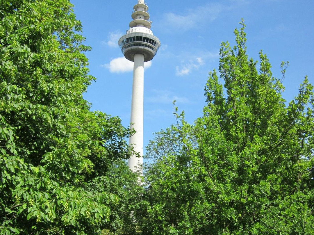 Fernmeldeturm Mannheim景点图片