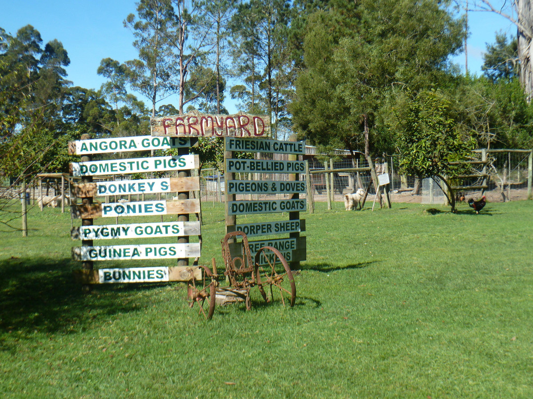 Garden Route Wolf Sanctuary-普利登堡湾必去景点