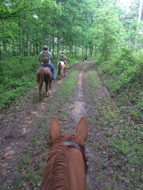 Rockin N Stables-塔拉哈西必去景点