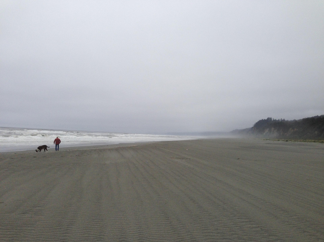 Gold Bluffs Beach景点图片