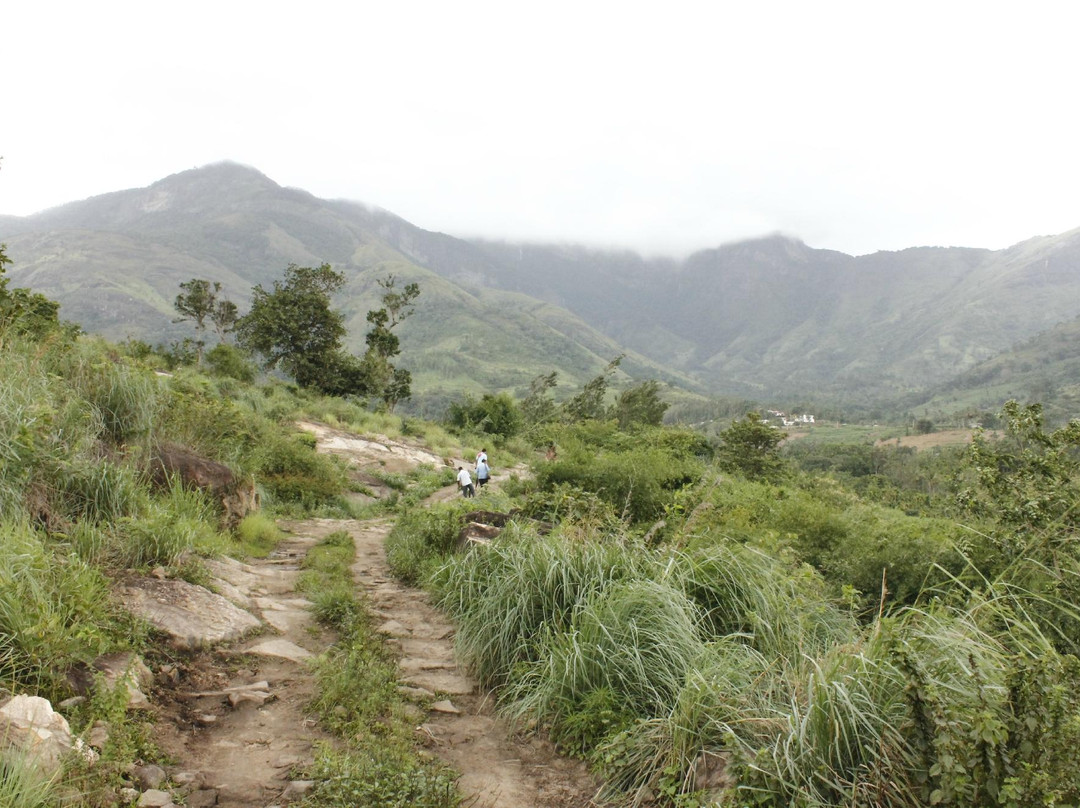 Urvi Wild Resorts