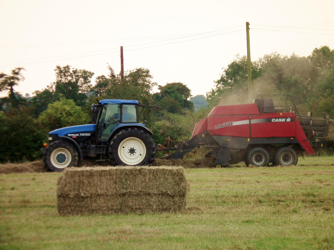 Waterend Farm主图
