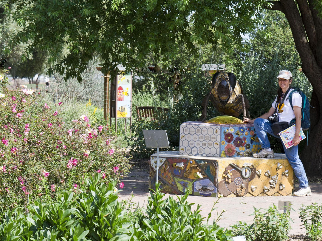 Häagen-Dazs Honey Bee Haven-戴维斯必去景点