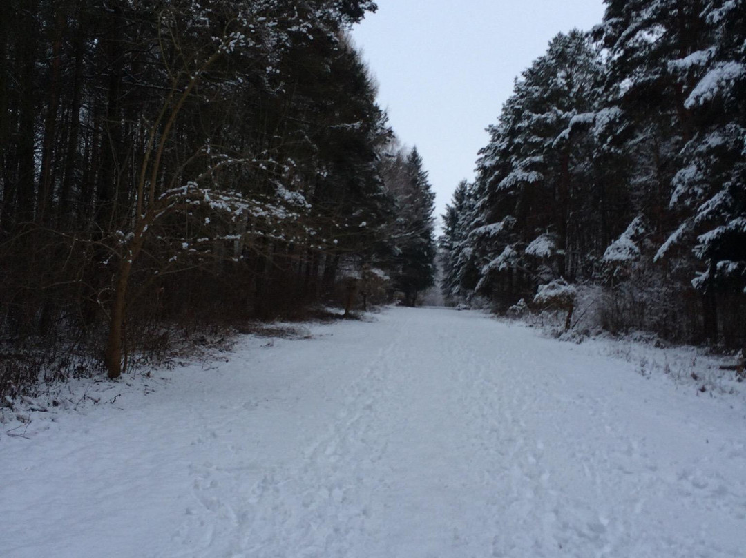 Tulchyn旅游景点-Podillya Botanic Gardens
