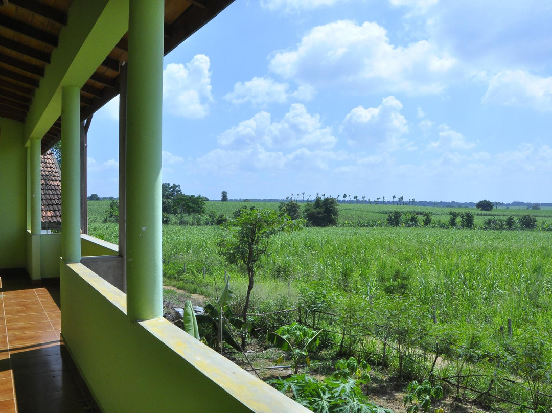 Hambegamuwa酒店住宿-尼华哈纳酒店