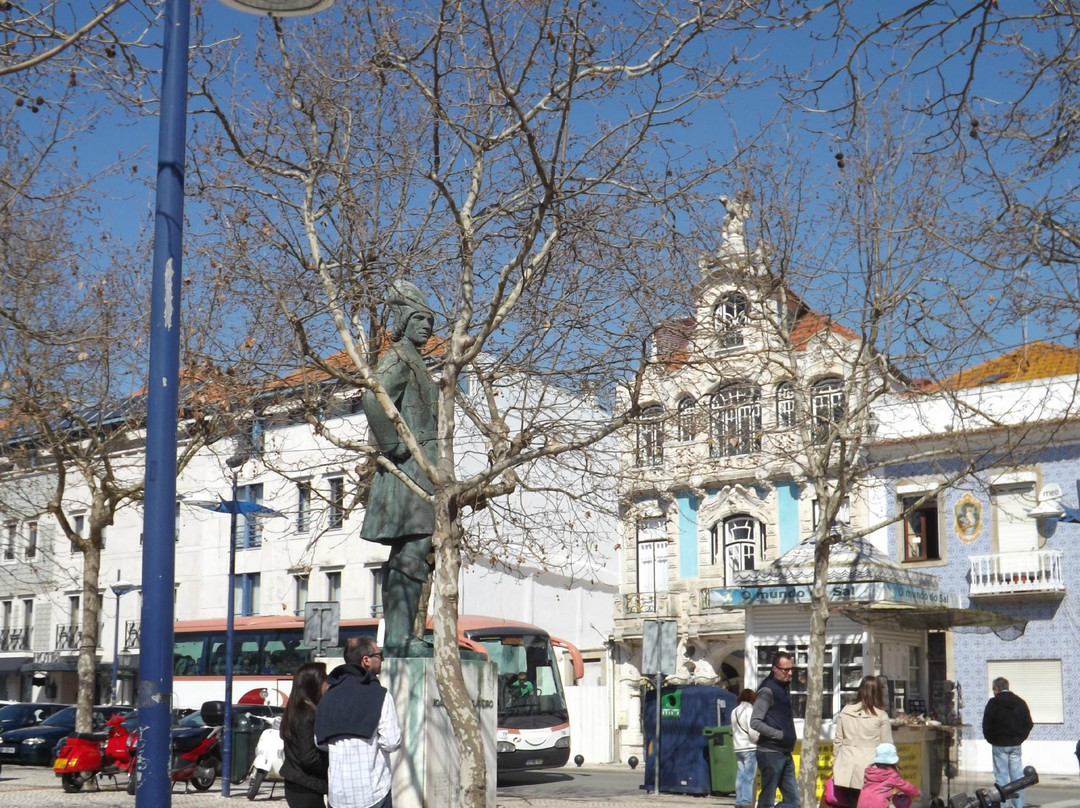 Aveiro Walk Around景点图片