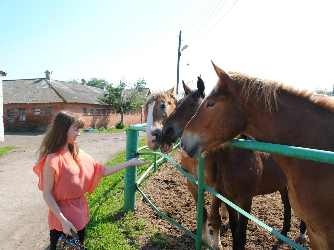 Stud Farm Perevozskiy景点图片