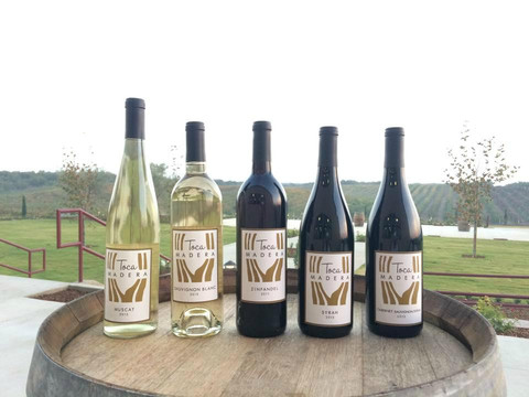 Toca Madera Winery-马德拉必去景点