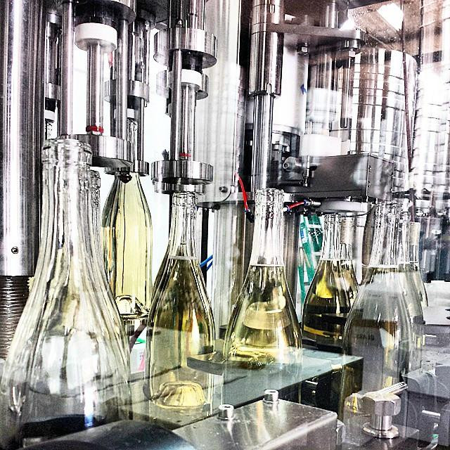 Maurice Car'rie Winery & Vineyards-特曼库拉必去景点