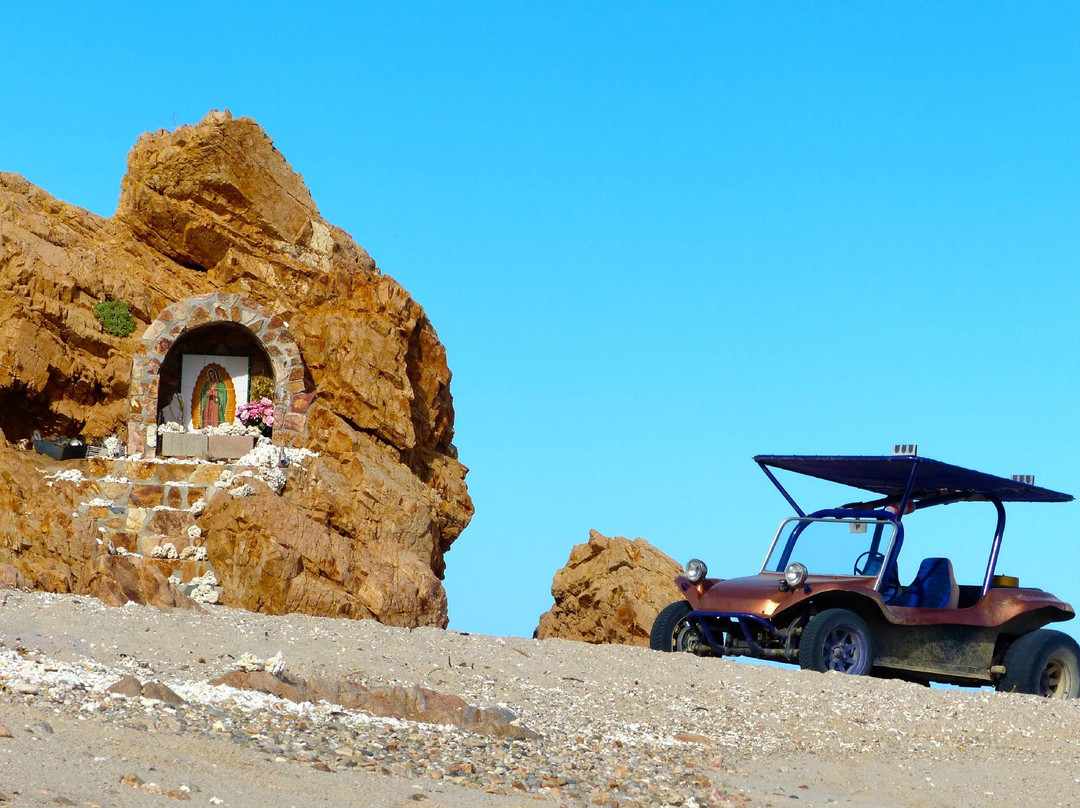 Dive In Baja-Los Barriles必去景点