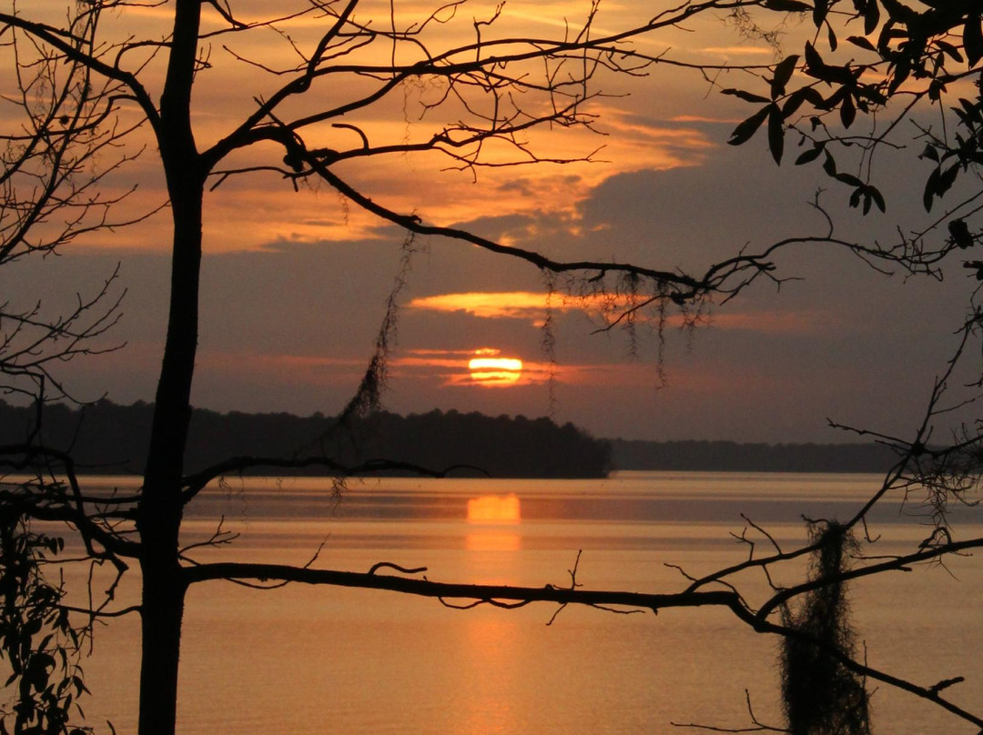 Lake Talquin State Forest-塔拉哈西必去景点