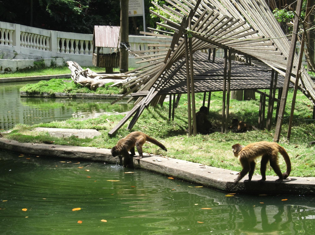 Parque Zoobotanico Arruda Camara景点图片