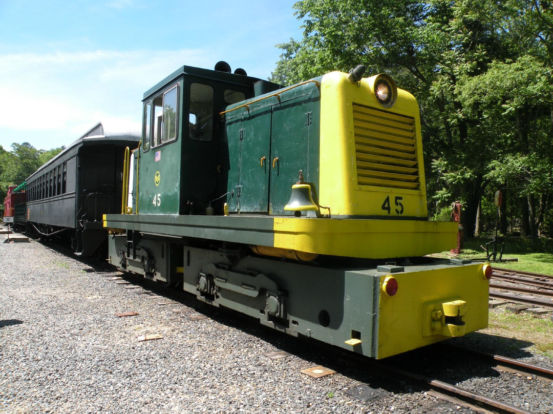 Pine Creek Railroad景点图片