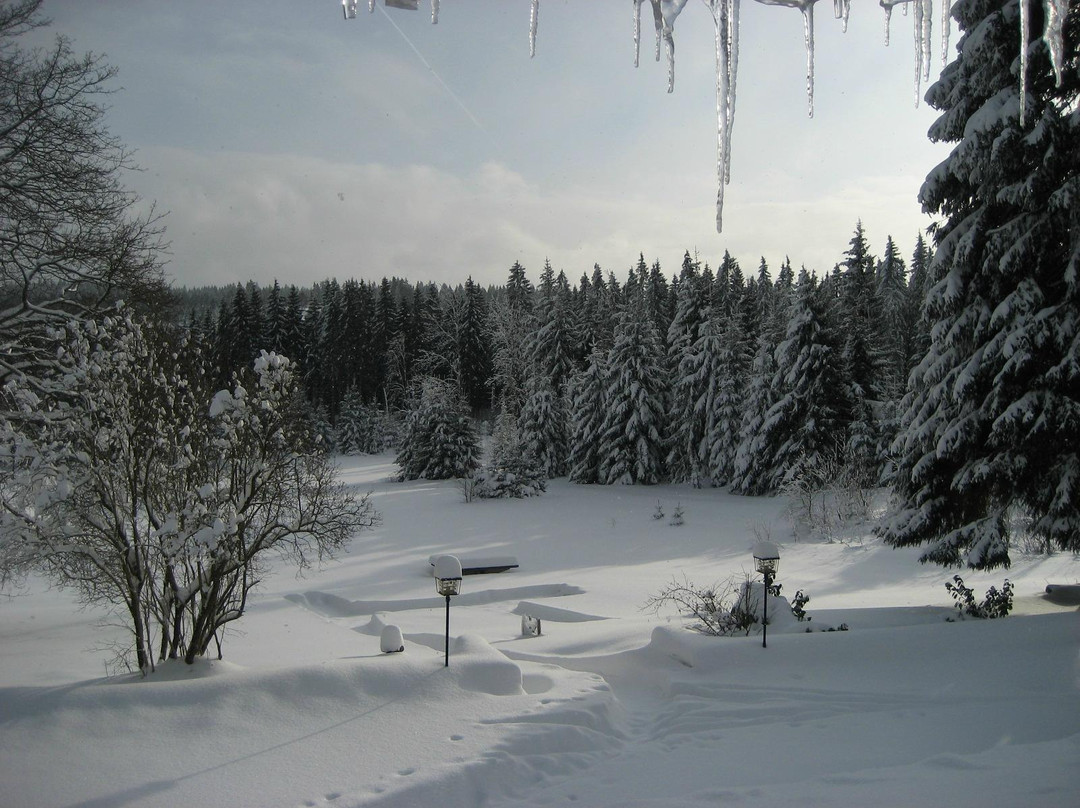 Hotel Zum Kranichsee主图