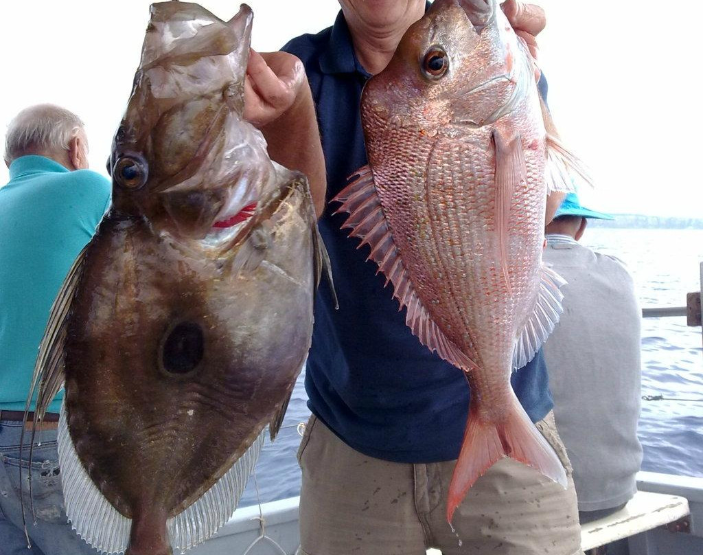 Deep Blue Charters Australia-Rose Bay必去景点