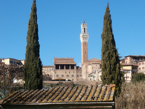 43° Parallelo-锡耶纳必去景点