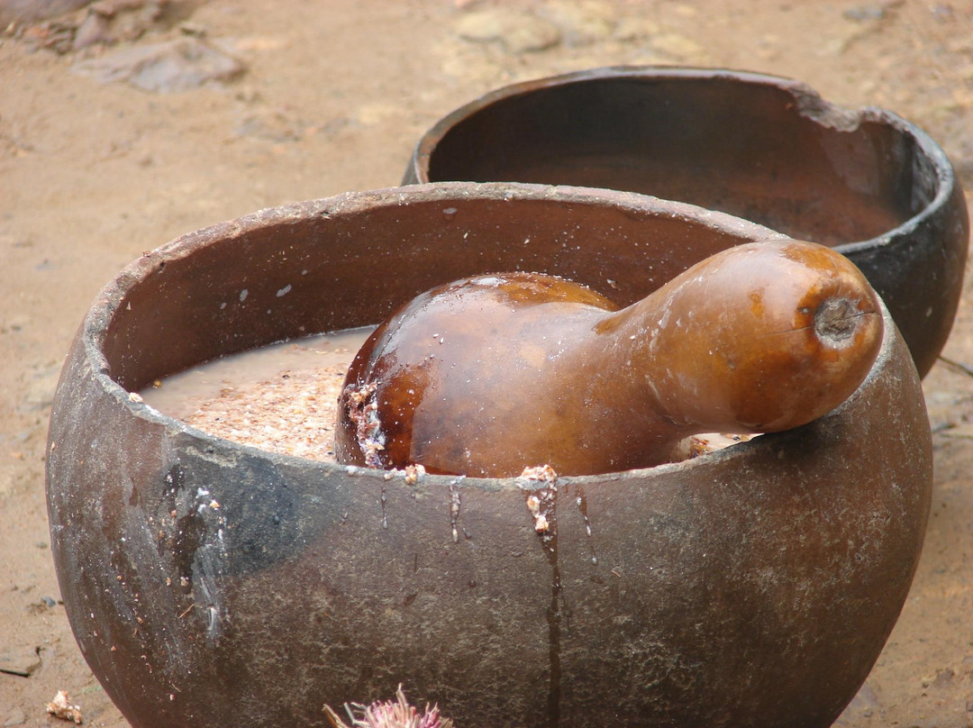 Eulophia Tours and Travel - Day Tours-德班必去景点