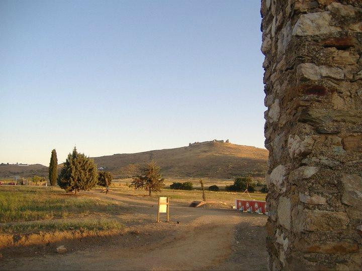 Alcazaba de Reina景点图片