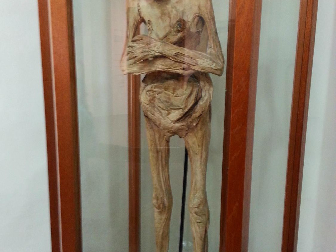 Complejo Cultural Universitario de la BUAP-普埃布拉必去景点