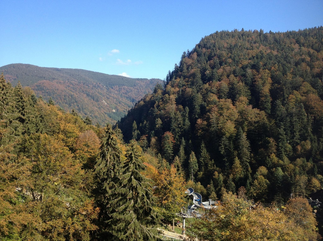 Steinwasen Park-Oberried必去景点