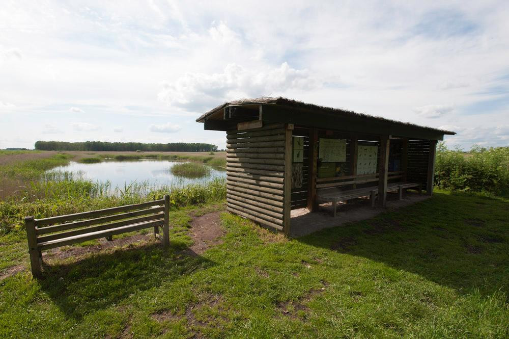 Lakenheath Fen RSPB Reserve-Lakenheath必去景点