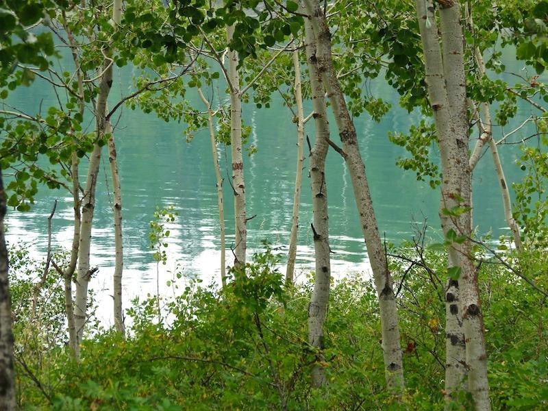 Green Lake Provincial Park景点图片