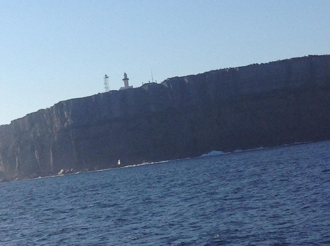 Jervis Bay Eco Adventures-Day Boat Tours-赫斯基森必去景点