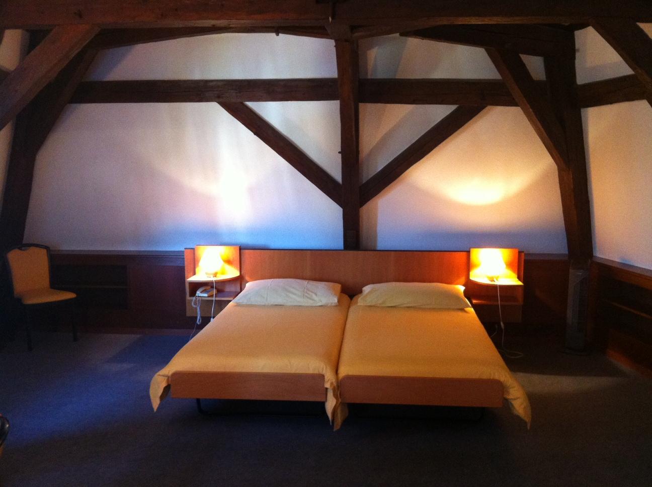 Hotel du Lion d'Or-客卧