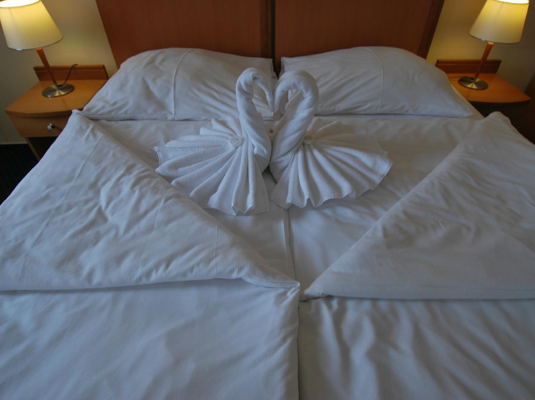 Slovan Comfort Hotel主图