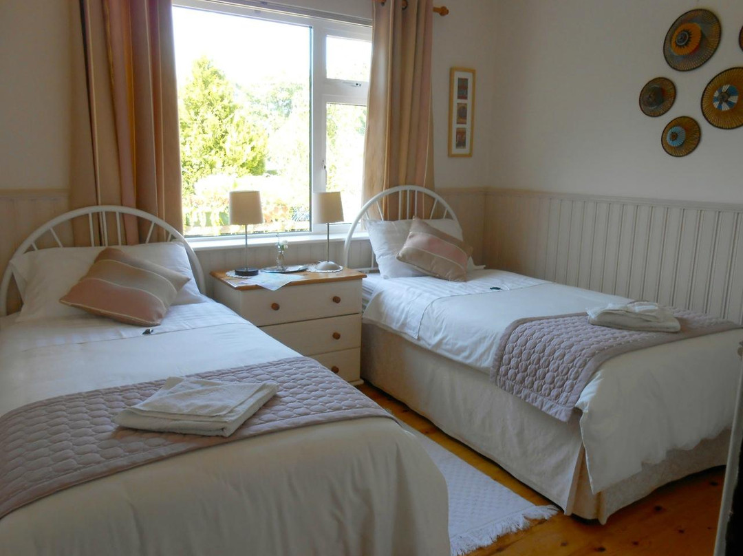 Clarecastle酒店住宿-Sleepyhollow