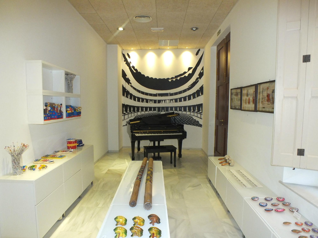Museo Interactivo de la Musica Malaga景点图片