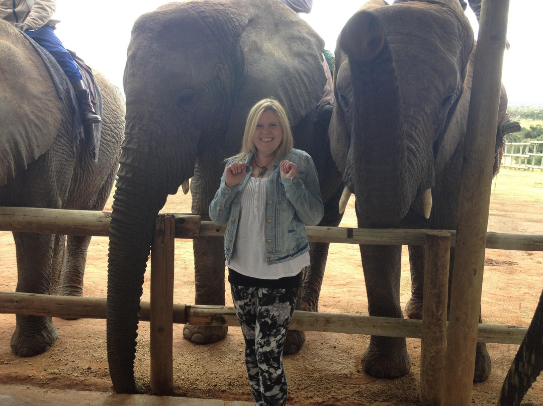 Kwantu Elephant Sanctuary-格拉罕镇必去景点