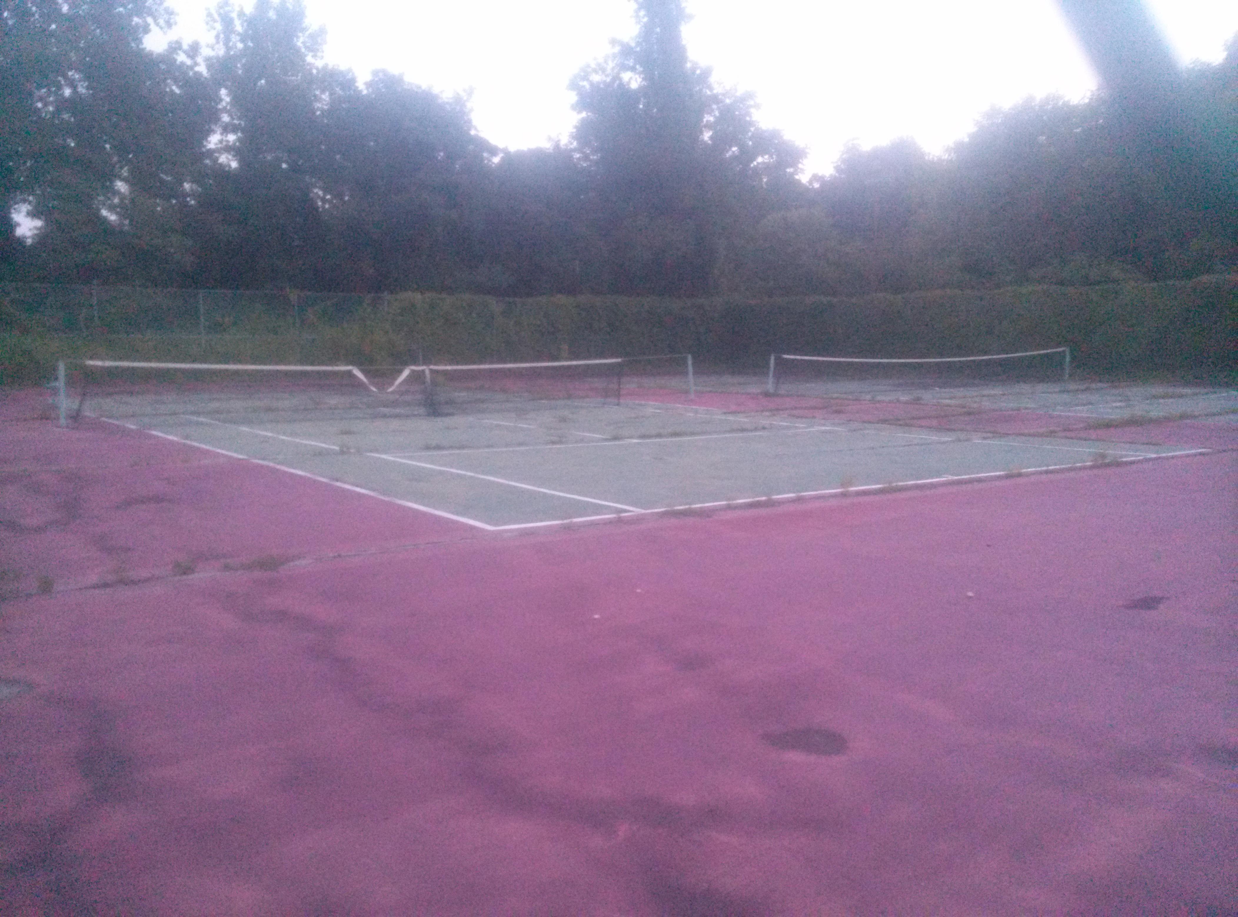 The Tides Motor Inn-客卧