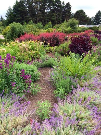 Humboldt Botanical Garden景点图片
