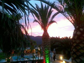 Tree Bar-Nidri必去景点