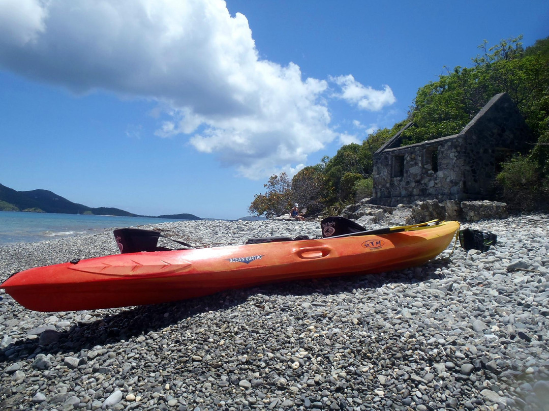 Whistling Cay-维尔京群岛国家公园必去景点