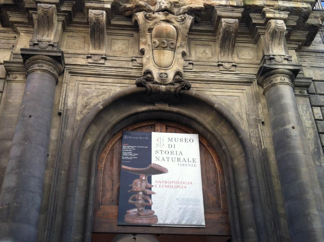 Museo di Storia Naturale - Antropologia e Etnologia景点图片