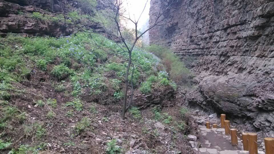 邢台九龙峡-邢台县必去景点