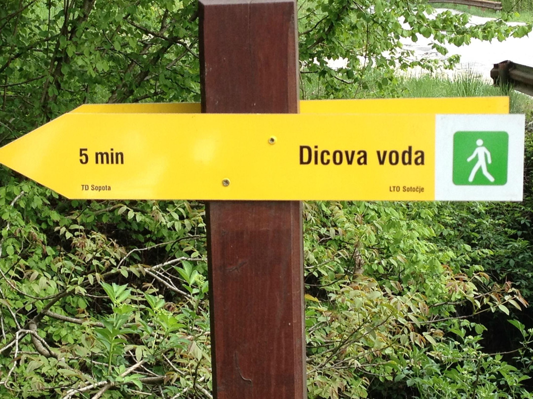 The Dicova Voda Spring景点图片