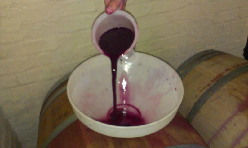 Winemakers Way-斯泰伦博斯必去景点