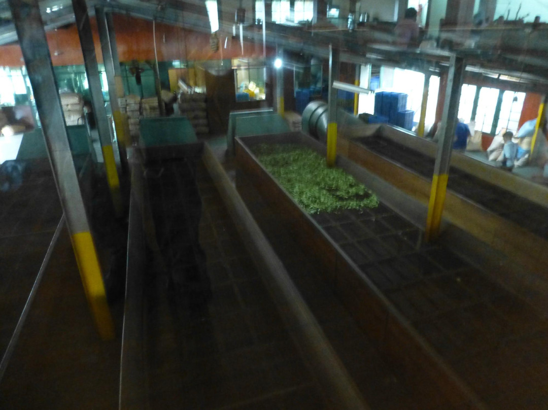 Embilmeegama Tea Factory景点图片
