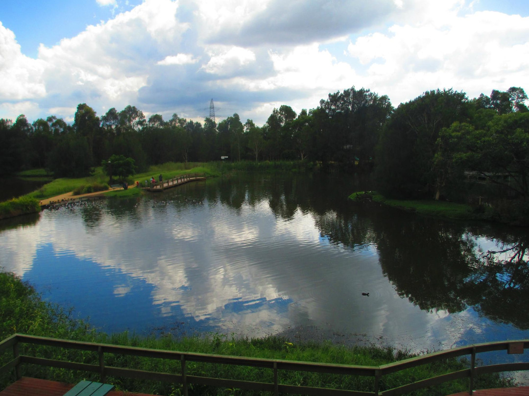 Hunter Wetlands Centre景点图片