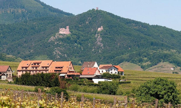 奥莱斯林酒店餐厅