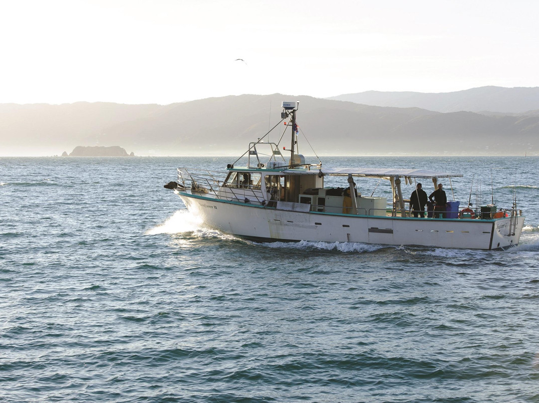 Cook Straight Private Fishing Charters景点图片