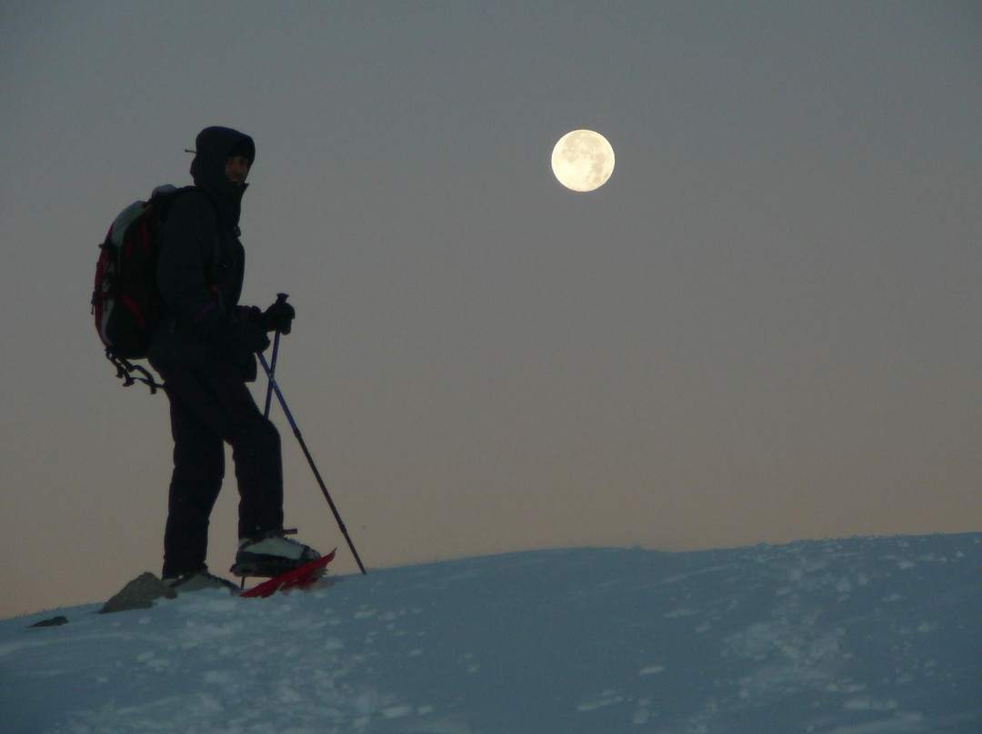 Zig Zag Holidays-索非亚必去景点