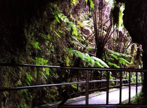 Roberts Hawaii-火奴鲁鲁必去景点